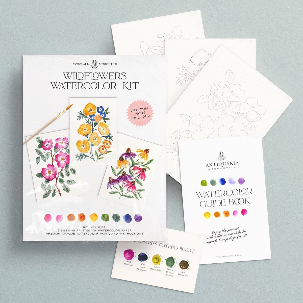Watercolor Painting Kit : Wildflowers No1